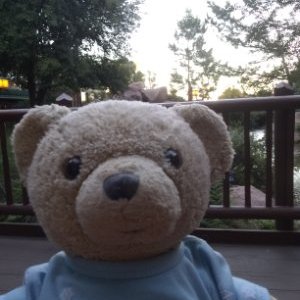 Profile Picture of Lori Letts (@LoriLetts) on Twitter