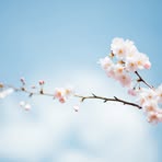 Profile Picture of Mazurowski Daniel (@Mazurowski-Daniel) on Facebook