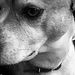 Profile Picture of Paula Luttrell (@pjl1214) on Pinterest
