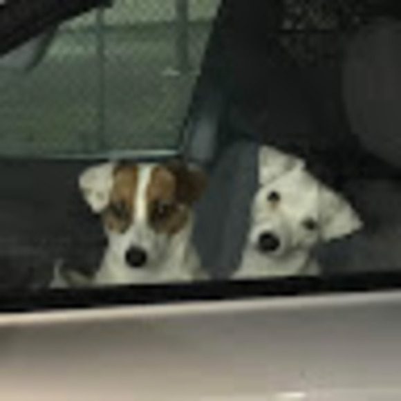 Erica c. Condit - Poshmark Profile Picture of Erica c. Condit (@ericaccondit) on Poshmark