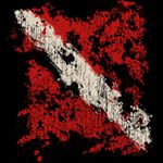 Profile Picture of Jeff Wilbert (@idratherbediving) on Instagram