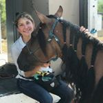 Profile Picture of mariabarberhorse (@mariabarberhorse) on Instagram