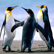 Profile Picture of Govind Arora (@anubhavarora15) on Youtube