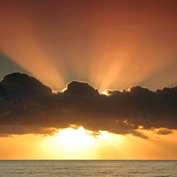 Profile Picture of Aracely Rocha (@chelyrocha) on Poshmark