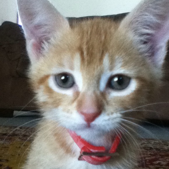 Profile Picture of Richard Bilyk (@richardbilyk) on Poshmark