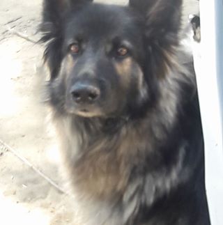 Profile Picture of Mary Rowley (@mary.rowley.161) on Facebook