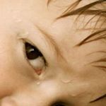 Profile Picture of Craig Heflin (@heflincraig) on Instagram