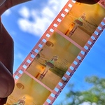 Profile Picture of Min Yeo (@hoshi no film) on Flickr