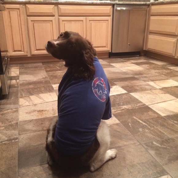 Profile Picture of Jessica Misch (@underthetable) on Poshmark