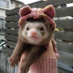 Profile Picture of |𝕶𝖆𝖗𝖊𝖓 𝕮𝖔𝖓𝖙𝖗𝖊𝖗𝖆𝖘 (@karen_contrerass_) on Instagram