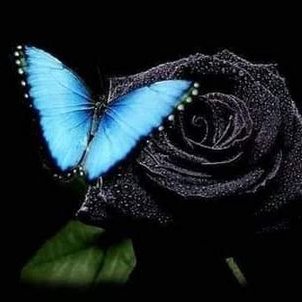 Profile Picture of Fátima Mayorga (@FtimaMayorga3) on Twitter