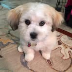 Profile Picture of Bobbie Babin (@bobbie.babin.7) on Facebook