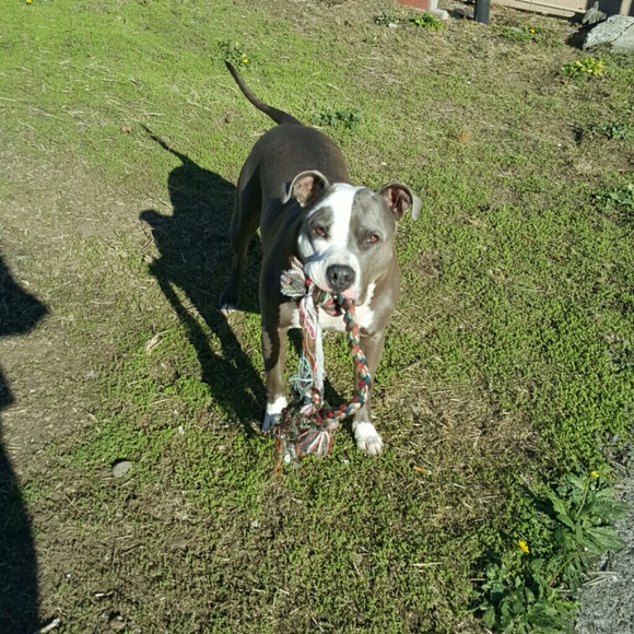 Amber Steagall - Poshmark Profile Picture of Amber Steagall (@ambercorn99) on Poshmark