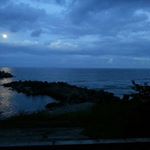 Profile Picture of Michael Chiou (@chiou.michael) on Instagram