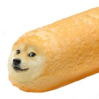 Profile Picture of Bryan Robledo (@bryan-robledo-1) on Quora