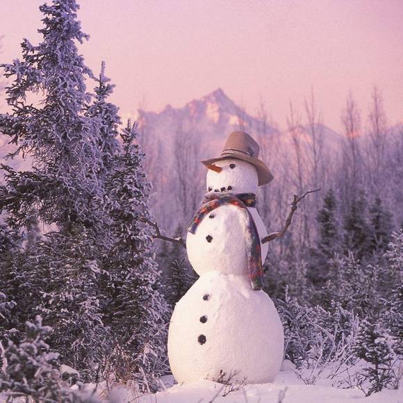 Profile Picture of Shihui Liang (@shirlorman) on Poshmark