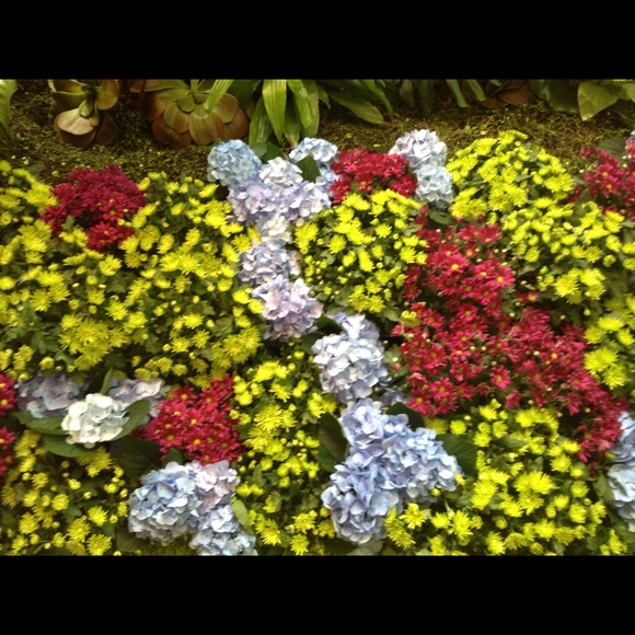 Profile Picture of Tracy Ramputi (@makindough) on Poshmark