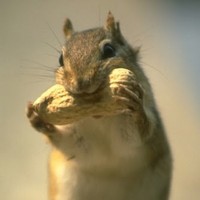 Profile Picture of Peter Bui (@peter-bui-9) on Quora