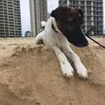 Profile Picture of Kate Maddock (@kate.maddock.58) on Instagram