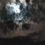 Profile Picture of Albert Ricketts (@albert.ricketts.79) on Facebook