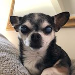 Profile Picture of Jared Oberst (@jared.oberst) on Facebook