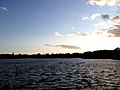 Profile Picture of Edgbaston Reservoiron Wikipedia