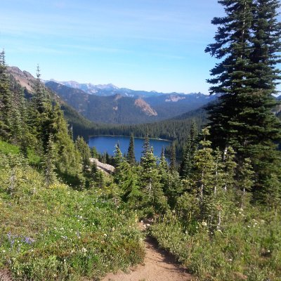 Profile Picture of Eric Moll (@Ericmoll) on Twitter