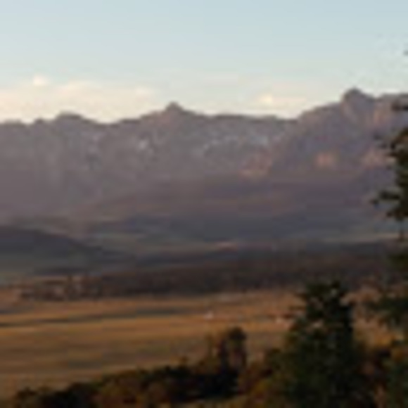 Profile Picture of Joshua Kipfer (@joshuajkipfer2) on Poshmark