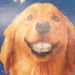 Profile Picture of Bryce Earlen (@bryce_earlen) on Instagram