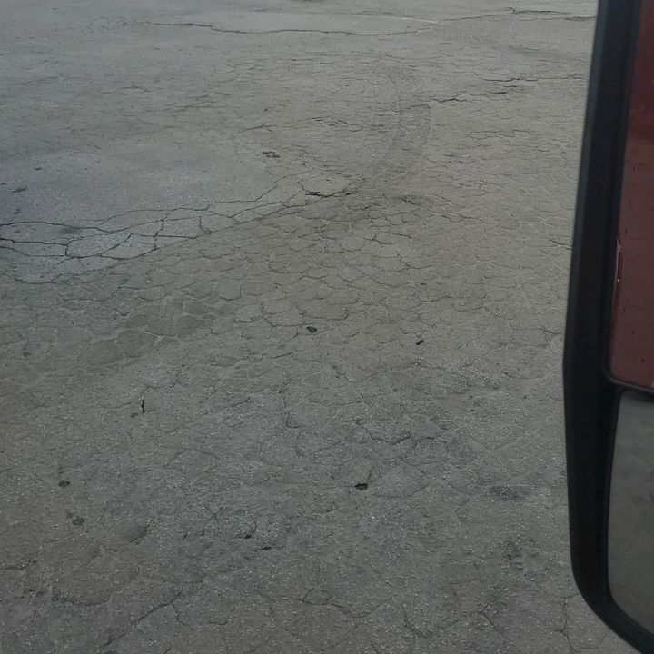 Profile Picture of Thomas Baum (@thomas.baum) on Tiktok