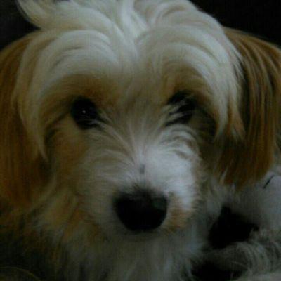 Profile Picture of Betty Janssen (@bettyjanssen28) on Twitter