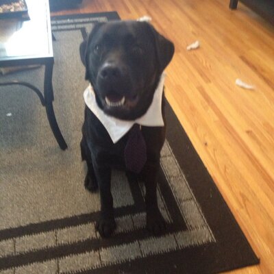 Profile Picture of John Werner (@jjwwerner) on Twitter
