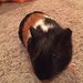 Profile Picture of Sammy_is_best Dagata (@sammy_is_best) on Pinterest
