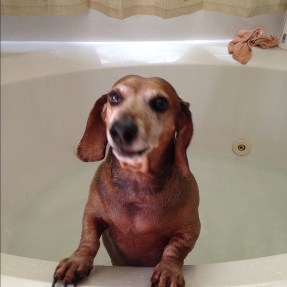 Profile Picture of Cody Suggs (@codesda) on Poshmark