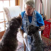 Profile Picture of Betsy-Jane Scott (@b-jscott) on Youtube