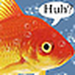 Profile Picture of Kimberly Bailey (@Citrusgoldfish) on Flickr