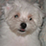 Profile Picture of Al_ex (@al_ex) on Flickr