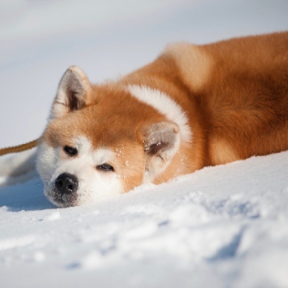 Profile Picture of Barry Anderson (@artisticfate88) on Poshmark