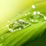 Profile Picture of Juanjuan Chen (@Juanjuan-Chen) on Facebook