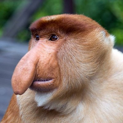 Profile Picture of Christian Overgaard (@Christi34566270) on Twitter
