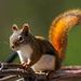 Profile Picture of Lyla Pobrislo (@lylapobrislo) on Pinterest