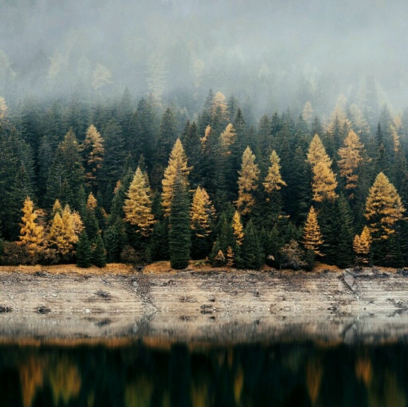 Profile Picture of Autumn Marks (@12nay34) on Poshmark