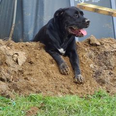 Profile Picture of Mark Moriarity801 (@markmoriarity801) on Tiktok