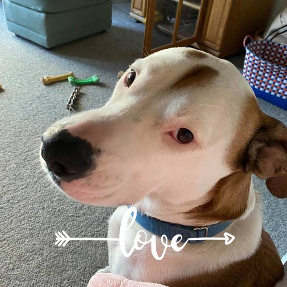 Profile Picture of Nancy Bowen (@nancybowen) on Poshmark