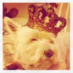 Profile Picture of Darron Clarke (@darronclarke) on Instagram