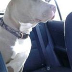 Profile Picture of kevin mcclard (@kevin.mcclard) on Instagram