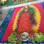 Profile Picture of Sandra Sanchez Quiroa (@sanchezquiroa) on Instagram