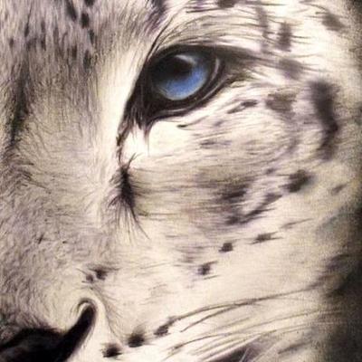 Profile Picture of Katelyn Dombrowski (@KMWritingtails) on Twitter