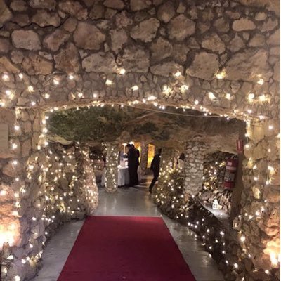 Profile Picture of Aileen Todd (@AileenTodd1945) on Twitter