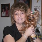 Profile Picture of Susie Payne (@susiepayne1958) on Instagram